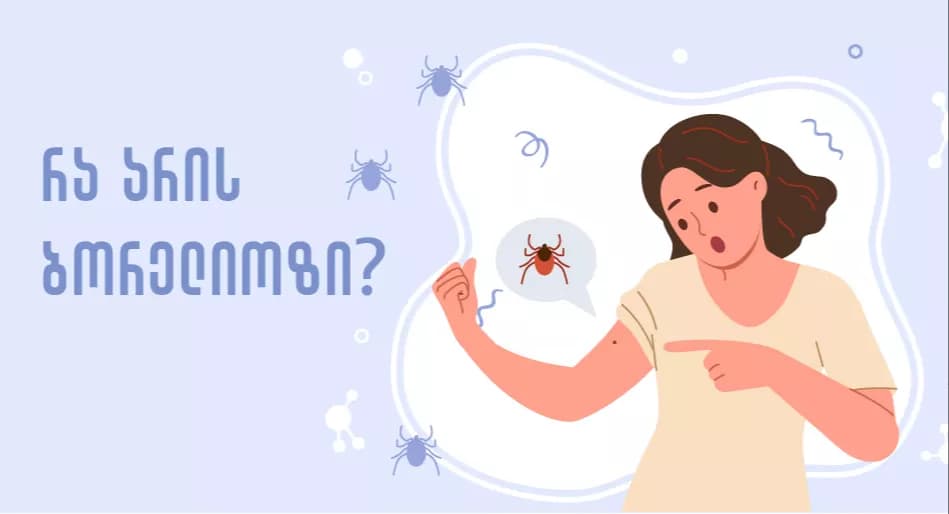 How dangerous is a tick bite and what diseases can it cause?!