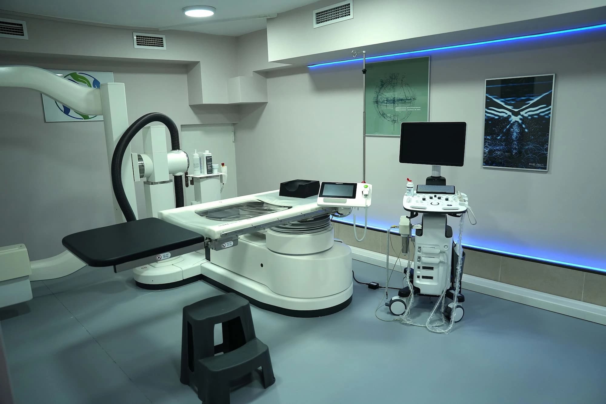 Kidney stone dissolution cabinet