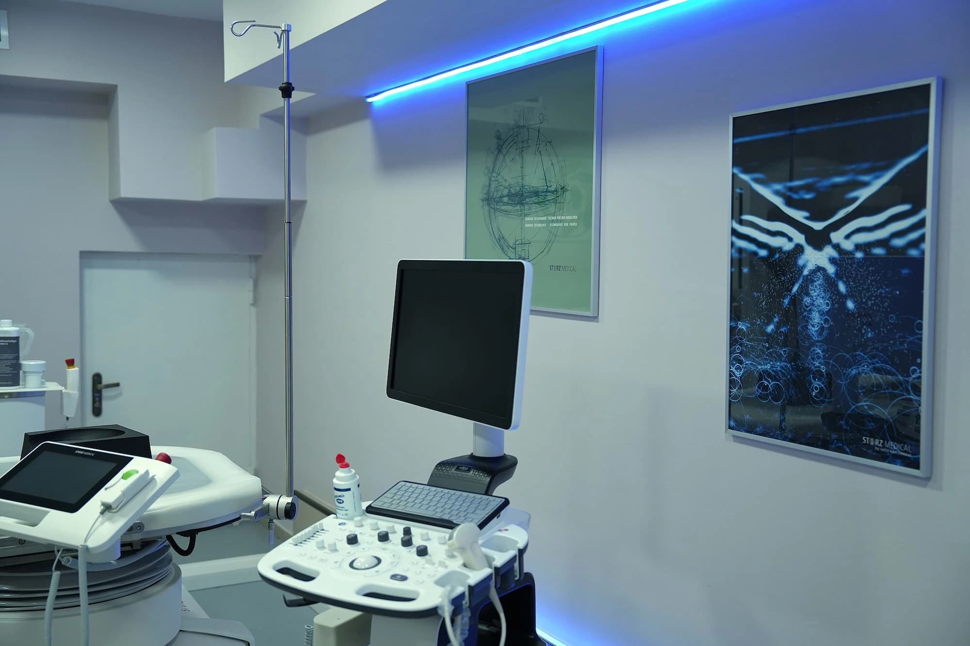 Kidney stone dissolution cabinet