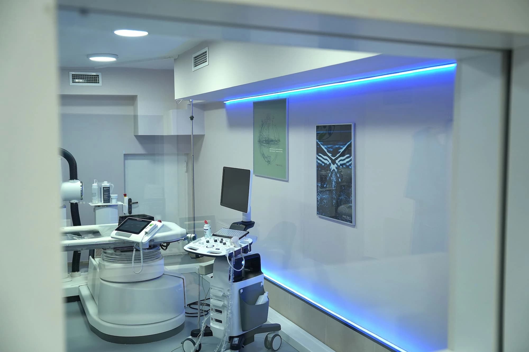 Kidney stone dissolution cabinet