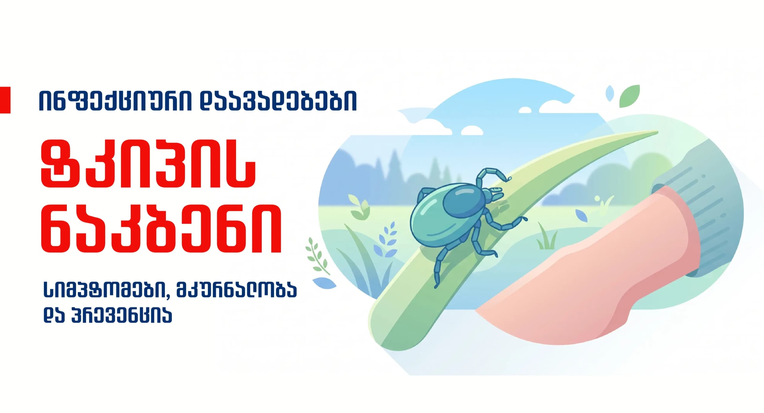 rogor-movicilot-tkipa