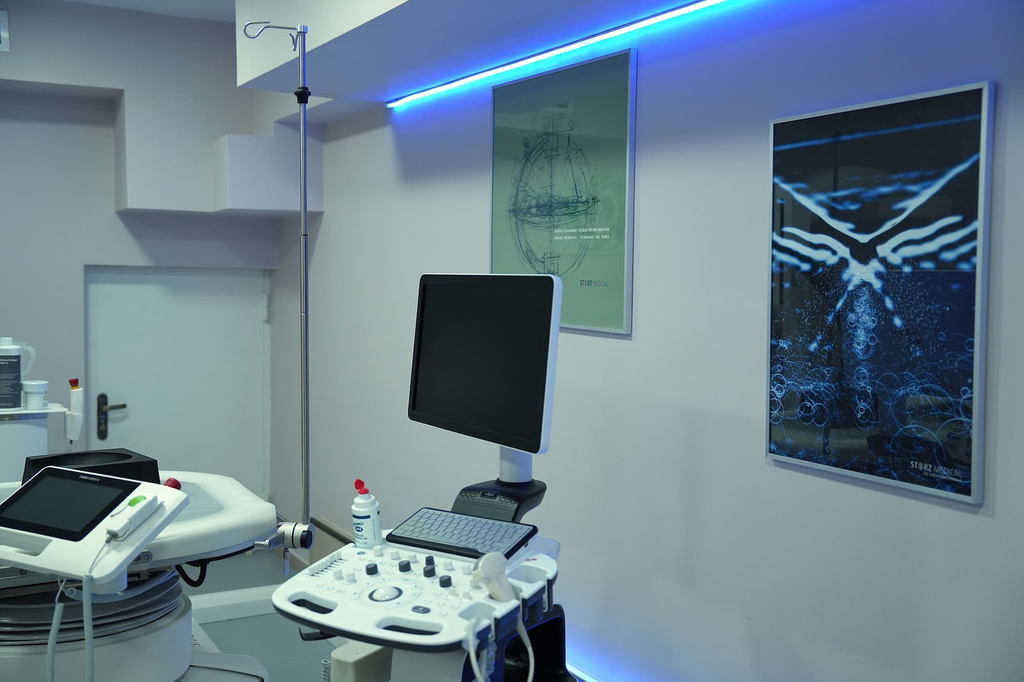 Kidney stone dissolution cabinet