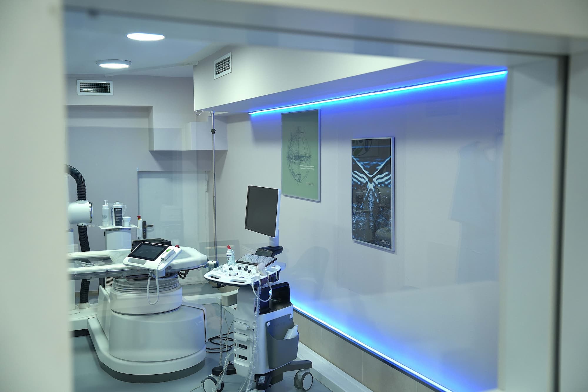 Kidney stone dissolution cabinet