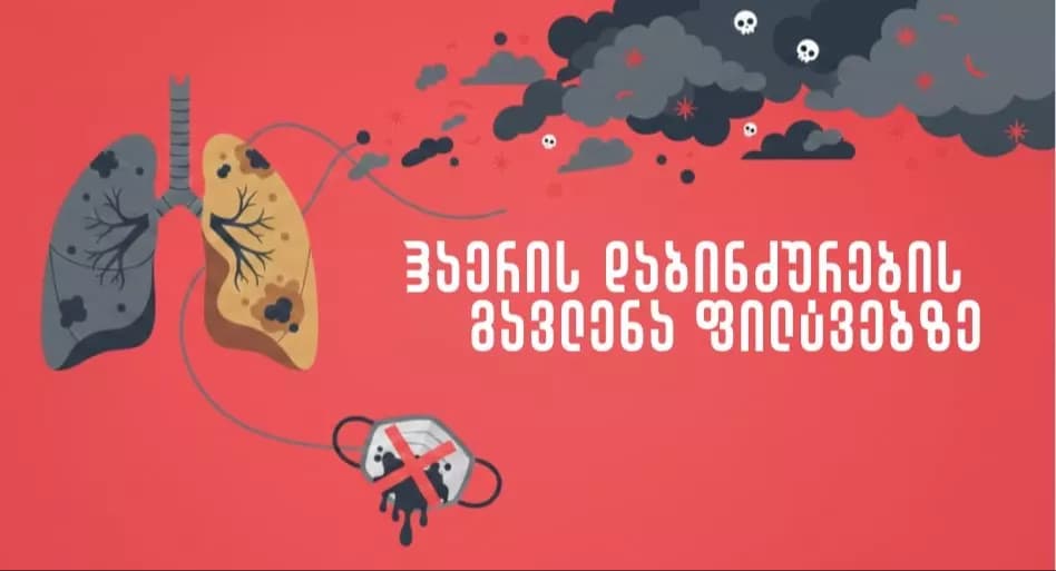 The impact of air pollution on the lungs