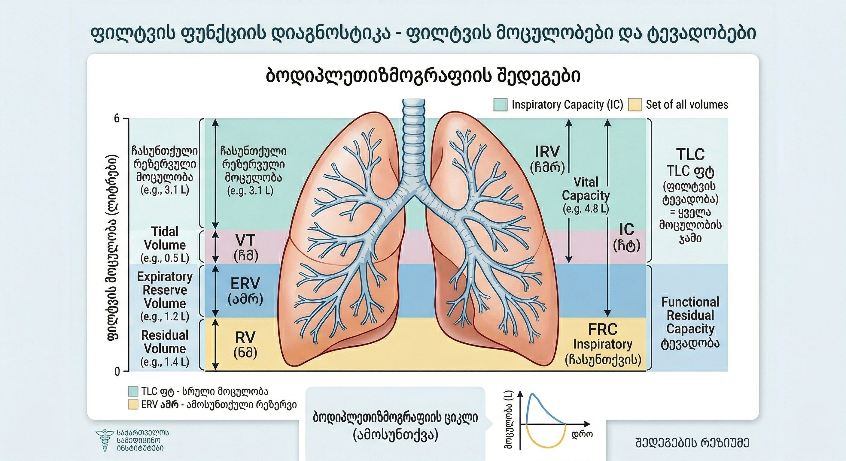 ფილტვის-მოცულობების-სქემა-სრული-პლეტიზმოგრაფიის-შედეგები