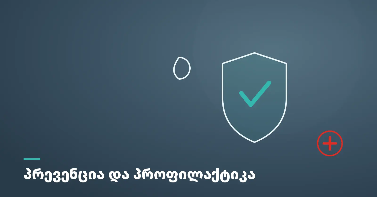 chirqovani-daavadebebis-prevencia-da-profilaktika