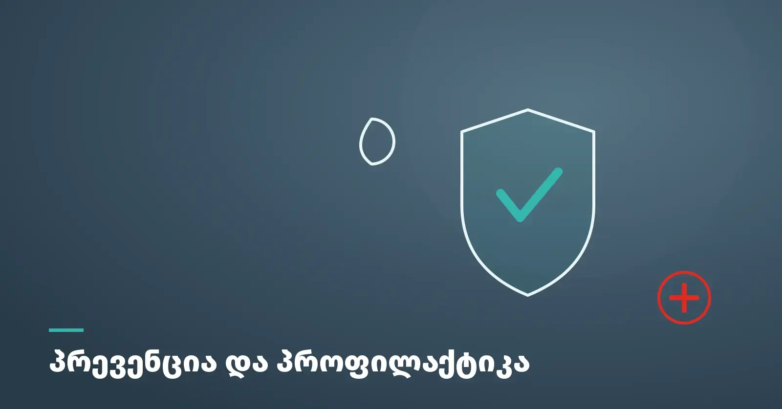 chirqovani-daavadebebis-prevencia-da-profilaktika