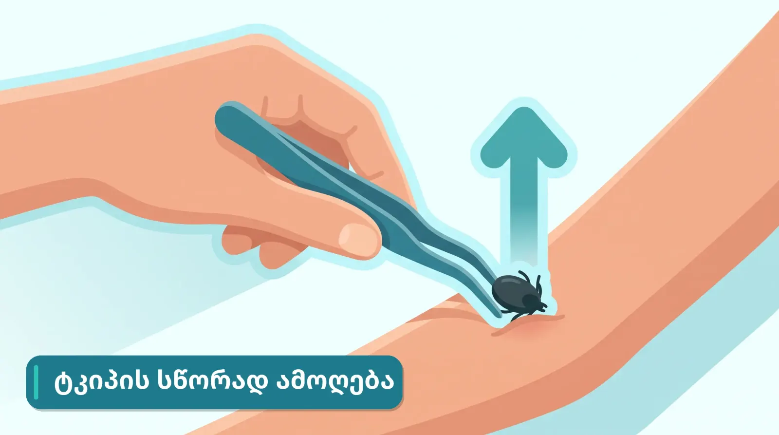 tkipis-sworad-amogeba